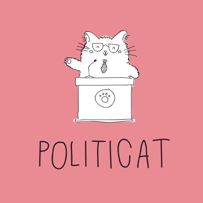 politiccat.jpg