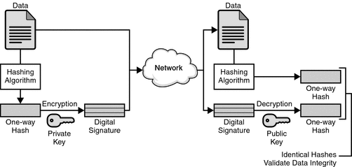 digital signatures