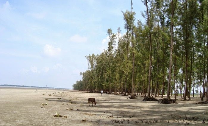 Parki Sea Beach 4.JPG