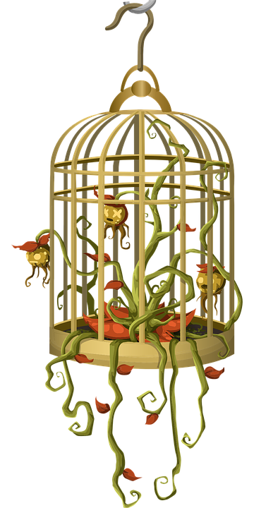 bird-cage-575823_960_720.png