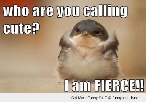 i am fierce.jpg