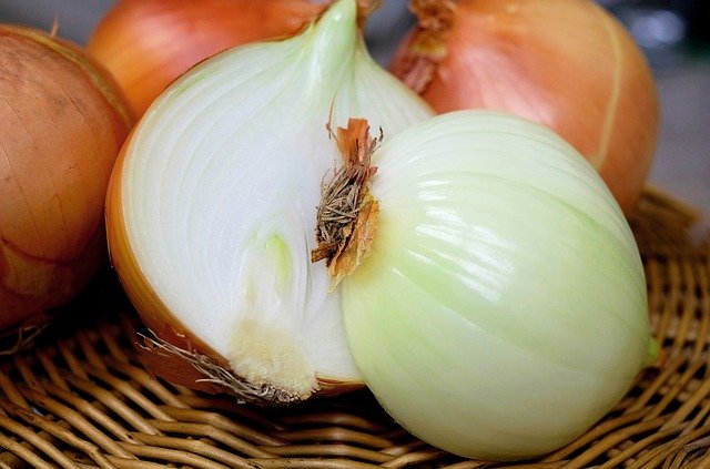 onion-1144620_640.jpg