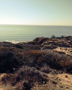 torrey pines top of path.jpg