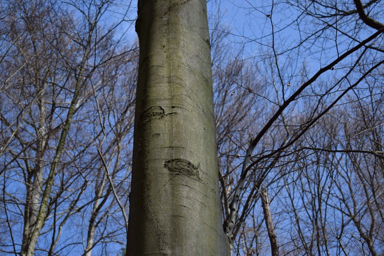 DSC_0095.JPG