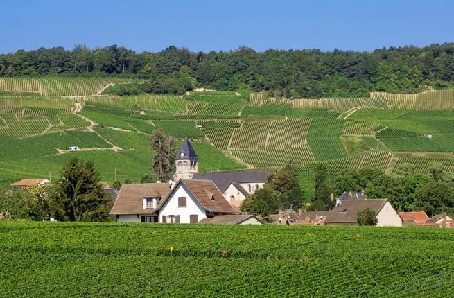 1-Champagne-Hillsides-Houses-and-Cellars-France.jpg