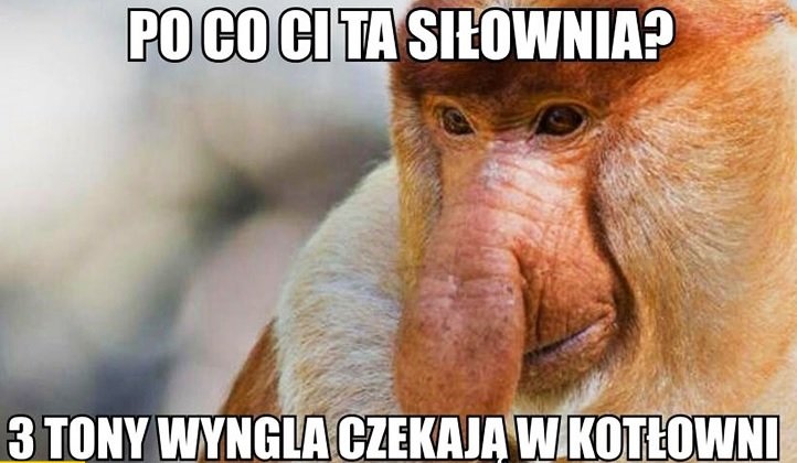 po-co-ci-ta-silownia-3-tony-wegla-czekaja-w-kotlowni-typowy-polak-nosacz.jpg