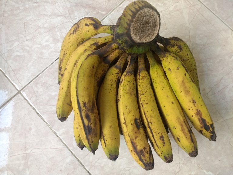 bunch of bananas.jpg