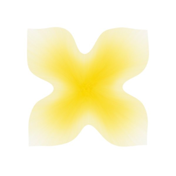 flower 1.1.jpg