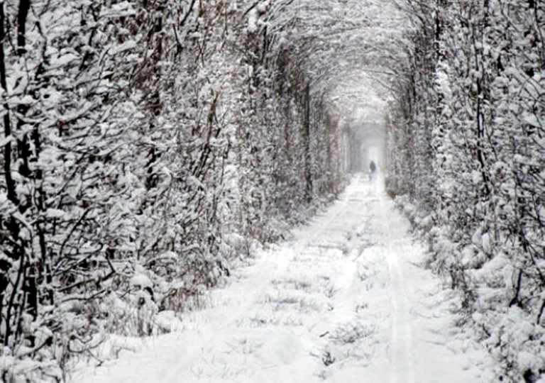 tunnel_of_love_ukraine_7.jpg