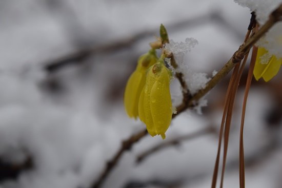DSC_0726.JPG