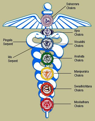 kundalini-serpent-power.jpg