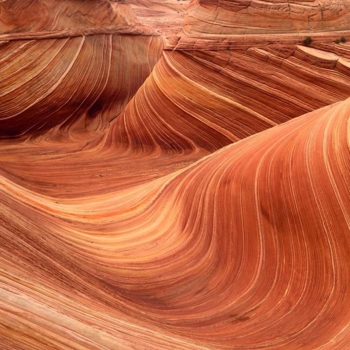 Coyote Buttes The Wave.jpg