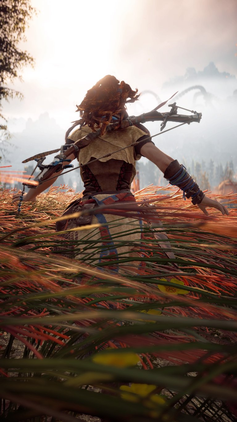 Horizon Zero Dawn™_20170310000204.jpg