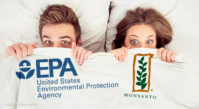 EPA_Monsanto_Bedfellows.png