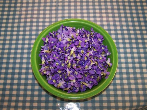 First harvest - violets crop April 2017.jpg