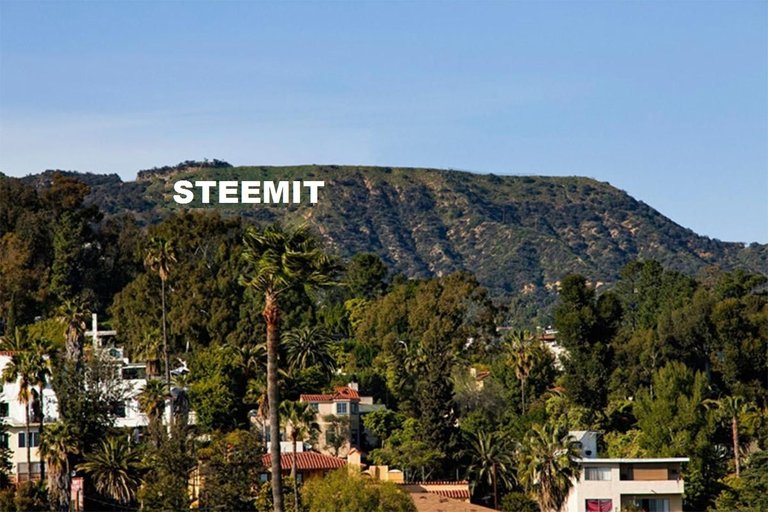 Hollywood Steemit.jpg