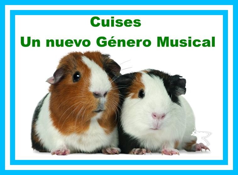 cuises un nuevo género musical.jpg