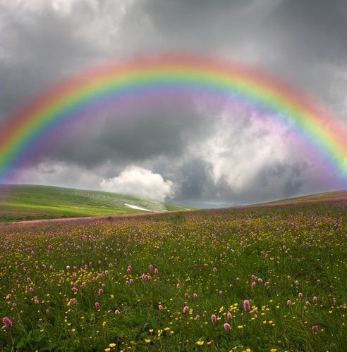 224373846-rainbow-pics.jpg