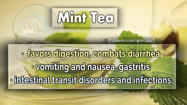 miupiu steemit min tea digestion.jpg