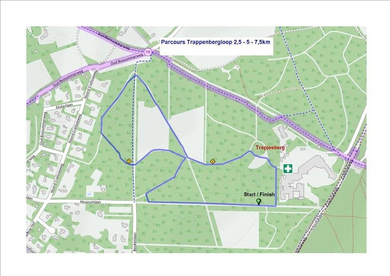 Parcours Trappenbergloop 2,5km.jpg