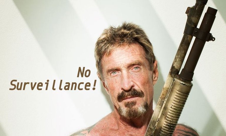 john-mcafee-preseident.jpg