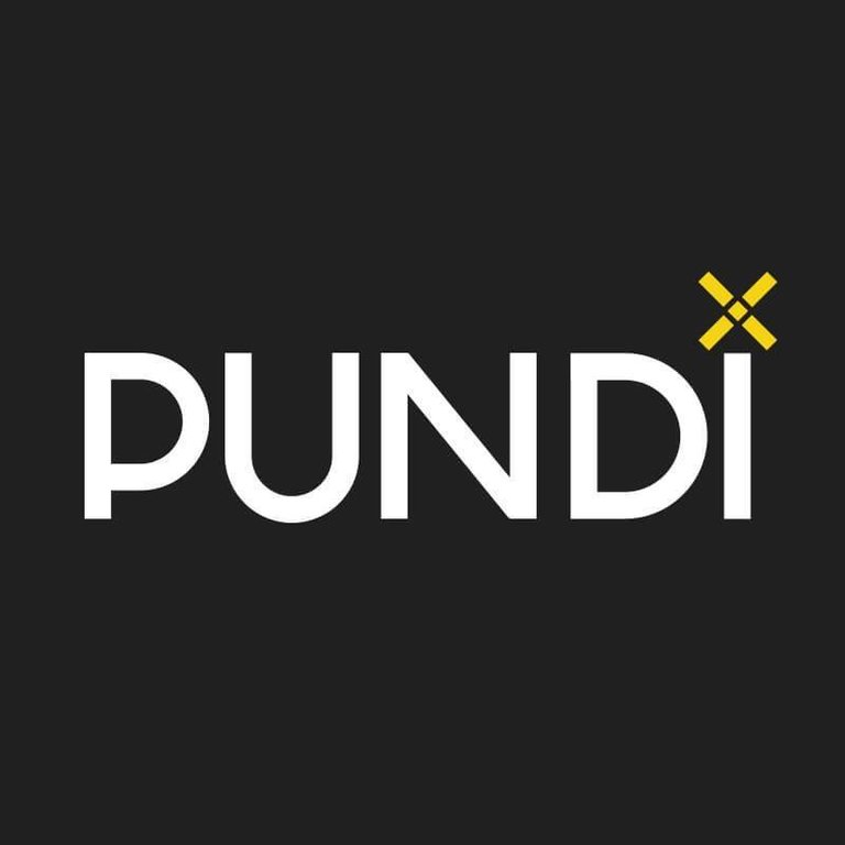 Pundi X.jpg