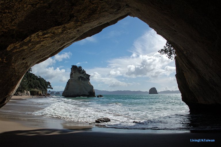 nz6_01.jpg