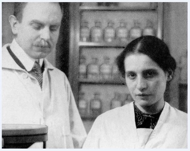 Lise Meitner.jpg