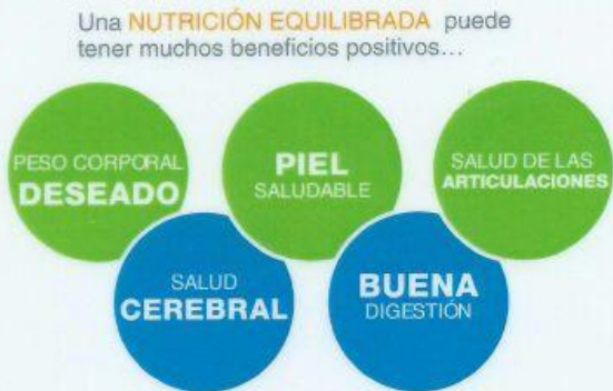 nutricion saludable.png