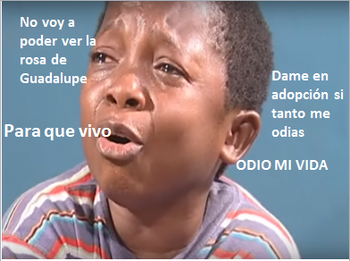 meme luis.png