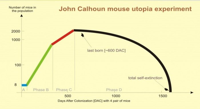 calhoun-experiment.jpg