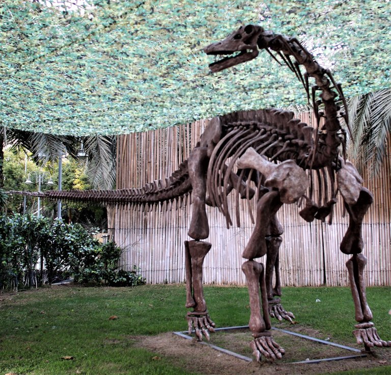 dinosaur reconstructed.jpg