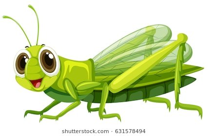 grasshopper-happy-face-illustration-260nw-631578494.jpg