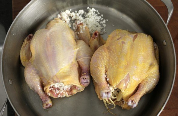 chicken-590x386.jpg