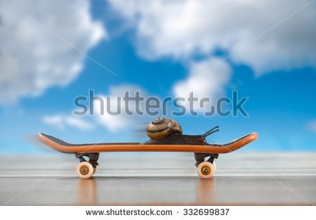 stock-photo-a-snail-on-a-skateboard-moving-fast-with-sky-in-background-332699837.jpg