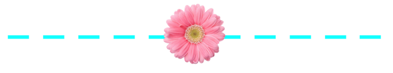 separador flor rosa.png