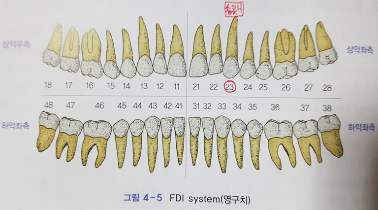 KakaoTalk_20180307_224431536.jpg