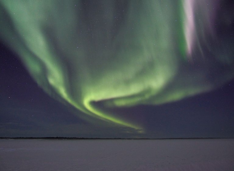 green-purple-northern-lights-prosperous-lake-yellowknife-low-res.jpg