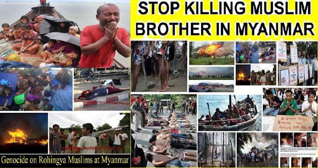 Rohingya-muslim-__650x345.JPG