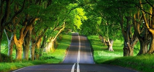 road-towards-beauty-of-nature.jpg