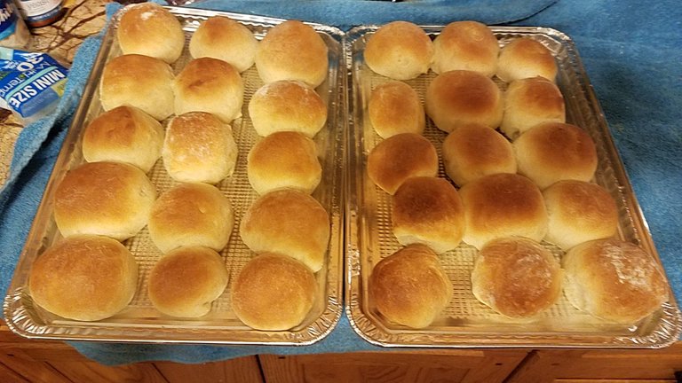 bread rolls.jpg