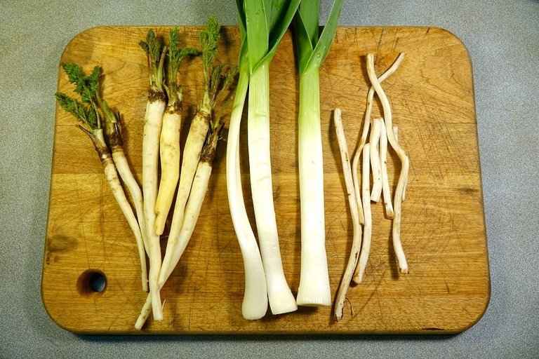 x leeks and roots 6.jpg