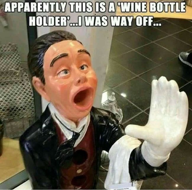 the-best-funny-pictures-of-wine-bottle-holder-fail.jpeg