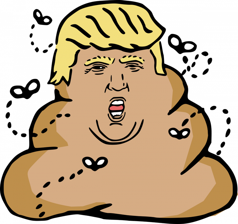 final948-trump-donald-turd-e1515807037921.png