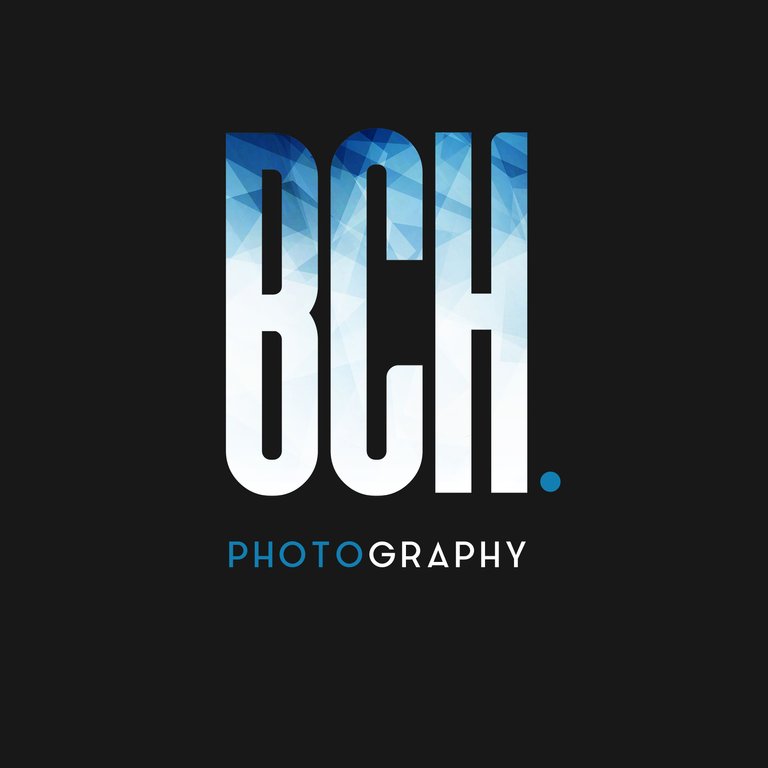 BCH_photography_17_1d_BLUEinside.jpg