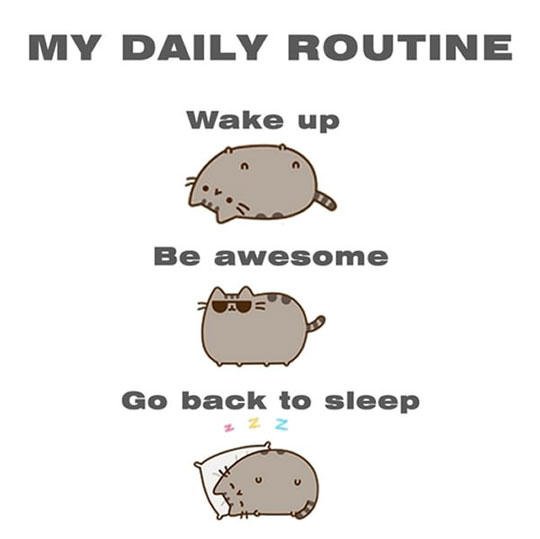 pusheen be awesome.jpg