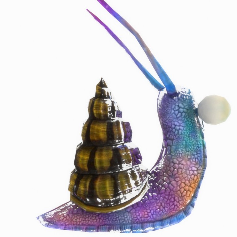 snail3.jpg