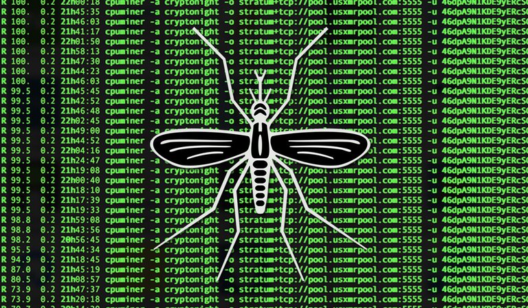 crypto_mosquito.jpg