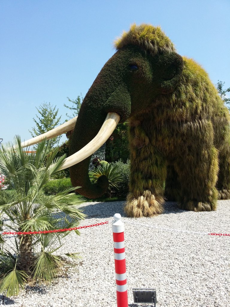 20160715_145648.jpg