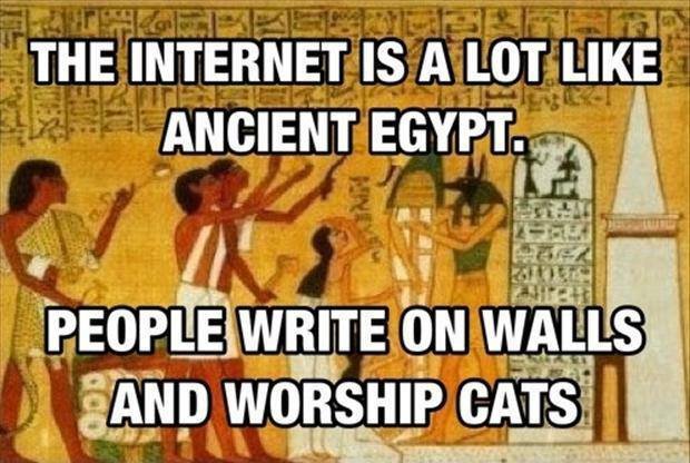 bcu-internet-like-egypt.jpeg